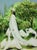 Swan-Princess by Nadezda | Oil on Panel Portrait of a woman in a white cloak in a lush setting For Sale - Image 4 of 5