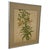Vintage Botanical Tiger Lily Illustration by Wendy Wheeler, Signed, Framed Floral Art. For Sale - Image 4 of 10