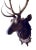 1900 - 1909 Antique Black Forest Stag Deer Head Wood Carved Sculpture Carving For Sale - Image 5 of 7