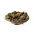 Small Earthenware Plate with Reptiles from Caldas, 19th Century For Sale - Image 6 of 6