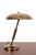 Table Lamp from Giovanni Michelucci For Sale - Image 12 of 12