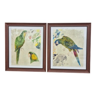 Pair of Vintage Parrot Watercolors. For Sale