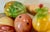 Mid-Century Modern Mid 20th Century Summer Stone Fruit Vegetables Mexican Polished Onyx Carved Lg Lot 10 PCS For Sale - Image 3 of 12