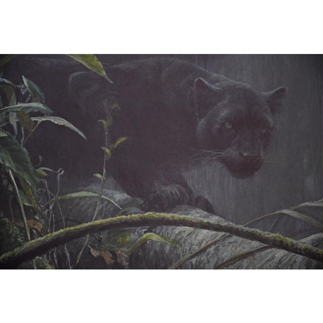 Realism Robert Bateman "Shadow of the Rainforest" Signed Limited Edition Print, 1992 For Sale - Image 3 of 10