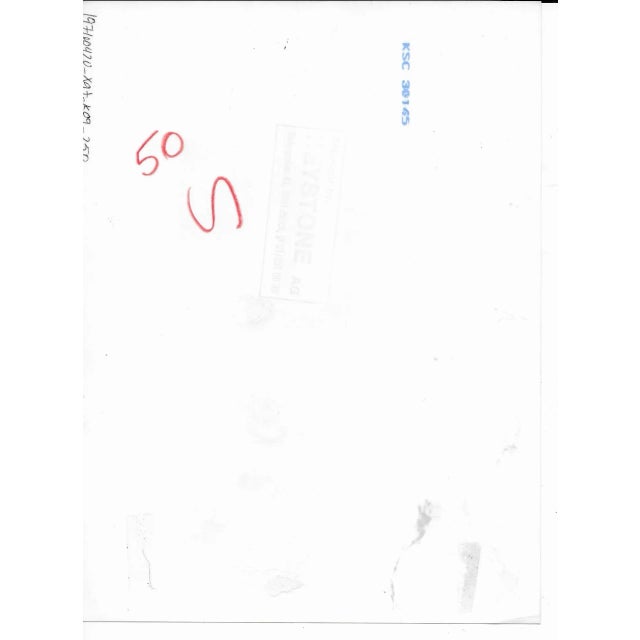 Figurative 1970s Prince Charles Skiing Photograph For Sale - Image 3 of 3