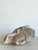 Vintage Greco Roman Patinated Resin Head Sculpture For Sale - Image 13 of 16