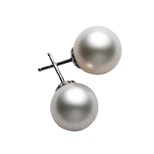 Platinum Mikimoto 10.5mm AAA Quality Pearl Studs