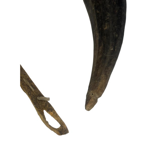 Animal Skin African Ceremonial Horn Cowrie Shell Adornment Hide Cap Trade Beads Ethnographic For Sale - Image 7 of 7