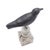 American Carved & Painted Confidence Crow Decoy, C. 1900-25 For Sale - Image 11 of 11