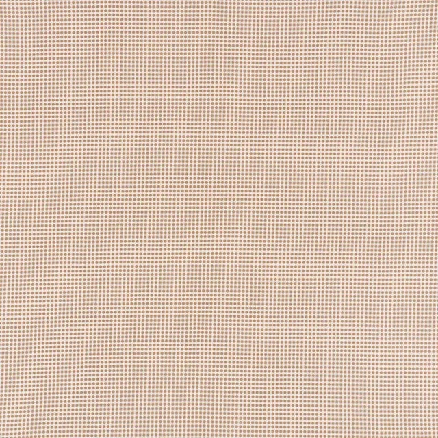 Available in a range of colors, Stella is a lively, small-scale star print that can stand on its own or play a brilliant...