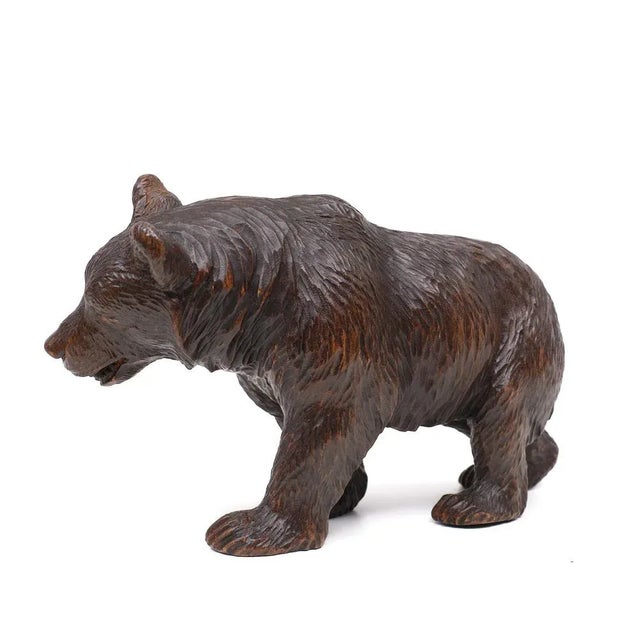 Brown Antique Hand Carved Black Forest Bear, Germany, 1920s For Sale - Image 8 of 9