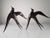 Metal Swallow Wall Sculptures, 1970s, Set of 2 For Sale - Image 4 of 14
