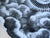 Black Fornasetti Themes and Variation Porcelain Plate, Pattern #101 For Sale - Image 8 of 8