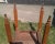 Antique 1860s American Cherry Wood One Drawer Stand Nightstand Side Table For Sale - Image 10 of 12