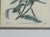 White Traditional Wall Decor, Framed Floral Botanicals, Giltwood Frame, 19th C. For Sale - Image 8 of 14