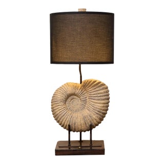 Ammonite Fossil Table Lamp With Black Drum Shade For Sale
