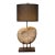 Ammonite Fossil Table Lamp With Black Drum Shade For Sale
