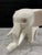 White Johnathan Schultz “Elegant Elephant” Sculpture, 1 of 10 For Sale - Image 8 of 13