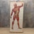 Textile Vintage School Board "Muscle of Man", Germany, 1950s For Sale - Image 7 of 7