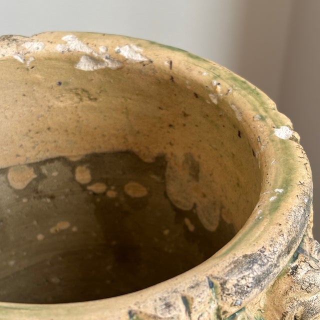 Early-20th Century Neoclassical Style Garden Urn / Planter For Sale - Image 9 of 18