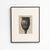 Karl Blossfeldt, Natural Grace, 1942, Photogravure, Framed For Sale - Image 12 of 13