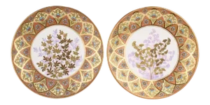 Derby Porcelain Aesthetic Period Gilt and Enameled Botanical Cabinet Plate - A Pair