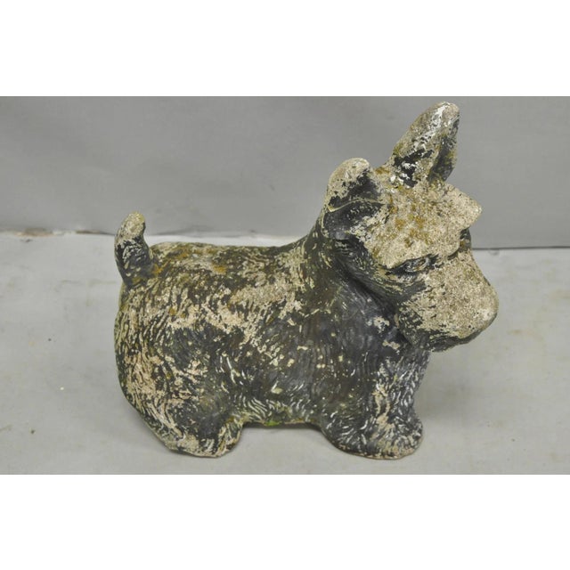 Mid 20th Century Vintage Scottish Terrier Scotty Dog 12" Small Cast Stone Concrete Garden Figure For Sale - Image 5 of 14