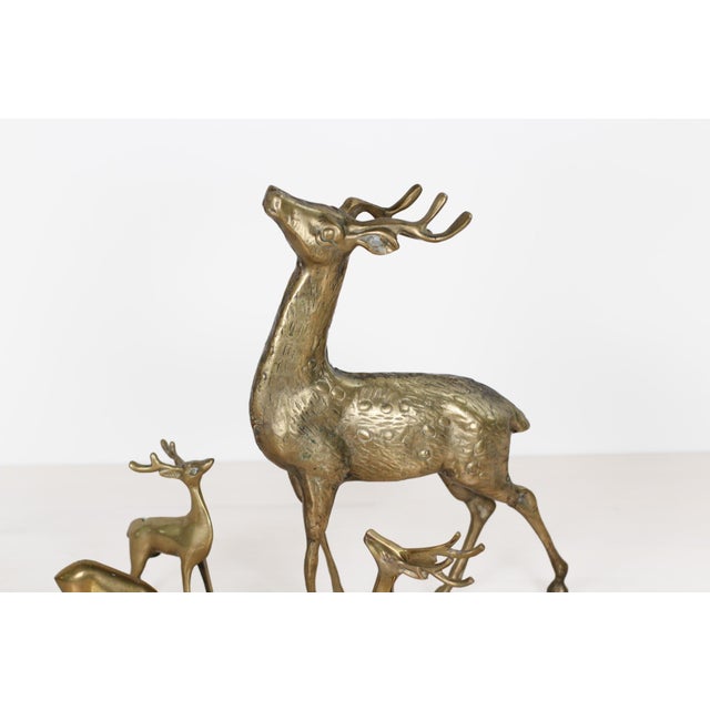 1970s Mid-Century Brass Deer Family, Set of 4 | Large Stag and Fawns For Sale - Image 5 of 15