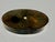 19th Century 19th Century Set of 3 Victorian Horn Snuff or Trinket Boxes For Sale - Image 5 of 18