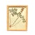 Tan 1893 Herbarium Botanical Specimens, Set of 12 For Sale - Image 8 of 17