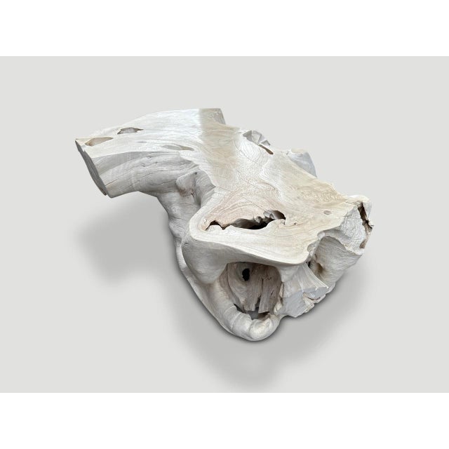 Andrianna Shamaris Bleached Teak Wood Coffee Table For Sale - Image 12 of 18