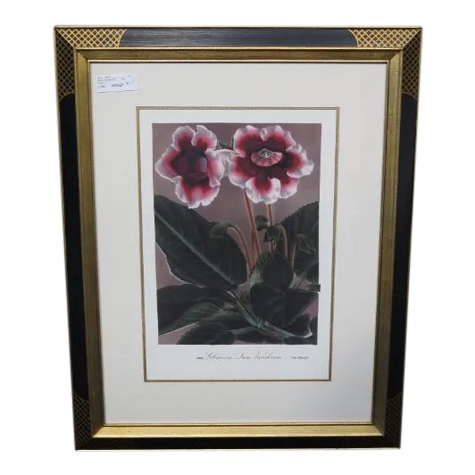 Framed Floral Print in Neoclassical Frame by W. King Ambler Chairish