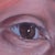 Early 21st Century Soft Focus by Shaina Craft | Oil on wood close-up of a human eye For Sale - Image 5 of 5