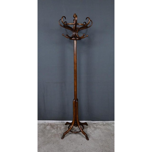 Early 20th Century Parrot Coat Rack in Beechwood, 1890s For Sale - Image 15 of 18