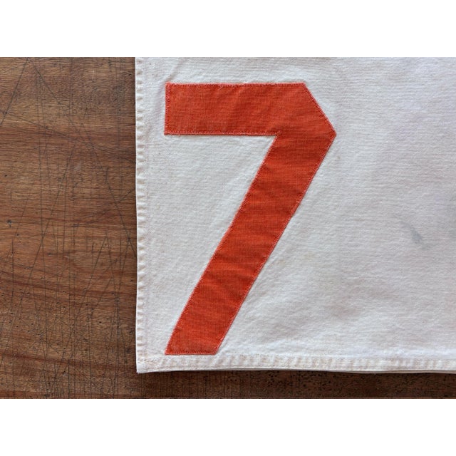 White 1960s Vintage Racehorse Saddle Cloth, #7 For Sale - Image 8 of 9