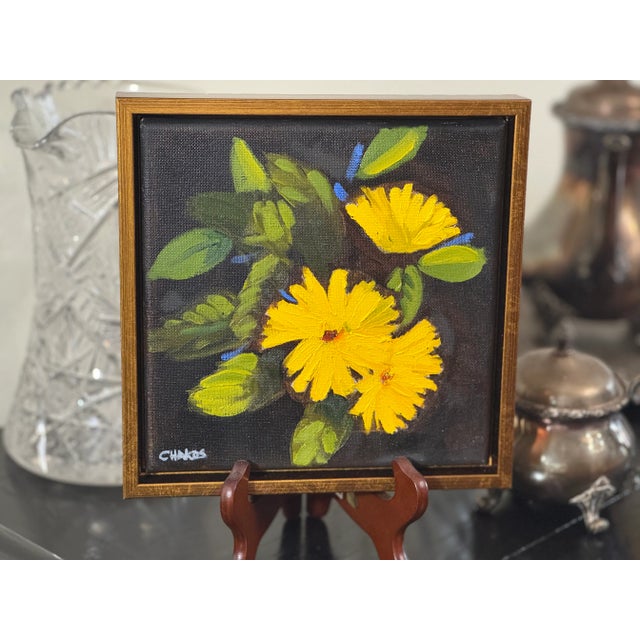 2020s "Sunny Yellow Cacera's" For Sale - Image 5 of 7