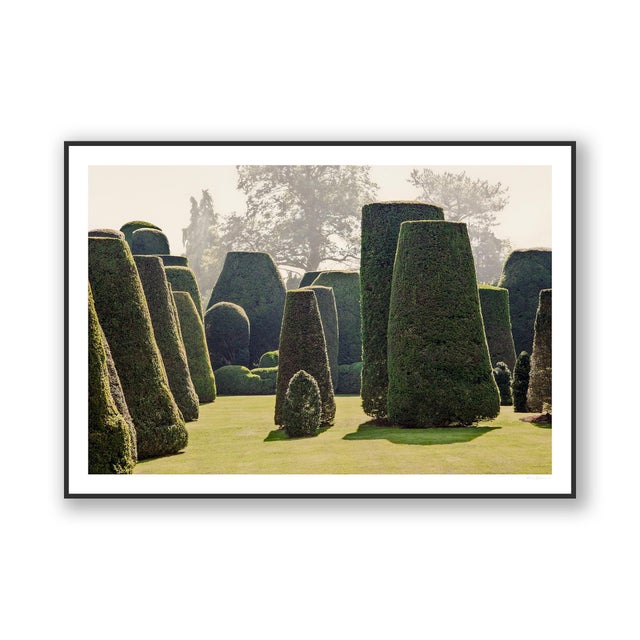 Guy Sargent, Le Jardin IV, Photograph For Sale - Image 4 of 6