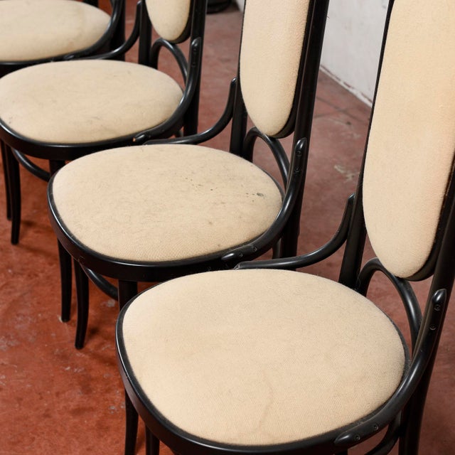 Dining Chairs by Michael Thonet for Thonet, 1986, Set of 4 For Sale - Image 15 of 17