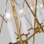 Transitional Chapman & Myers by Visual Comfort Studio Beatrix 6-Light Large Linear Lantern Pendant in Antique Gild Gold For Sale - Image 3 of 5
