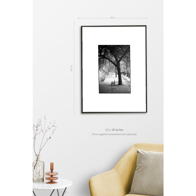 Paul Cooklin, Trees, Ardennes, Edition of 50 For Sale - Image 4 of 7
