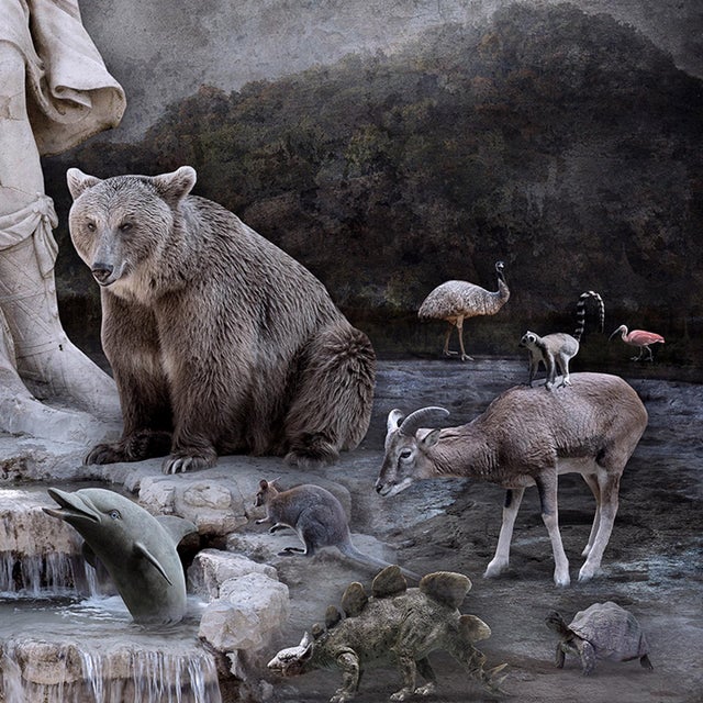 Contemporary Queen of the Forest by Marcin Owczarek | Photography - Dye Sublimation on Aluminum depicting a statue with animals. For Sale - Image 3 of 4