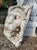 Unknown, Lion's Face Mask, Venice, 19th Century, Marble For Sale - Image 4 of 6