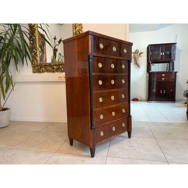 Biedermeier Chest in Walnut For Sale - Image 5 of 15