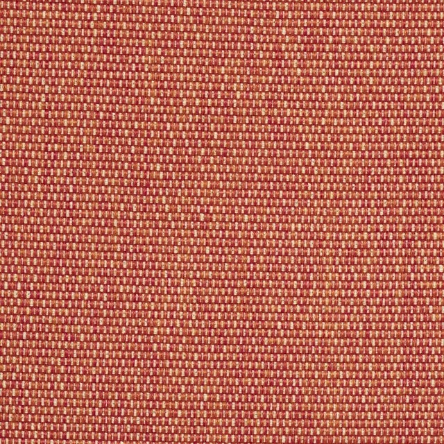Contemporary SAMPLE - Schumacher Cooper Indoor/Outdoor Fabric In Red For Sale - Image 3 of 3