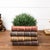 2020s Decorative Book Stack Vase 5"H For Sale - Image 5 of 5