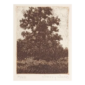 Lone Oak Tree Etching by Jerry Weers
