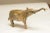 African Vintage African Golden Patina Elephant Trunk Up For Sale - Image 3 of 10
