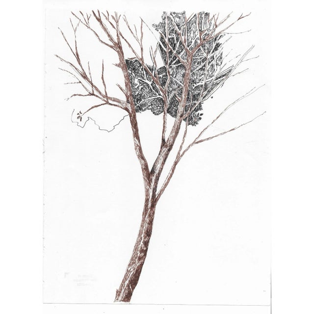 rom the estate of Florida artist Dr. Ronald Frank Yrabedra (1944-2022). Yrabedra earned his B.A. and M.A. from the...