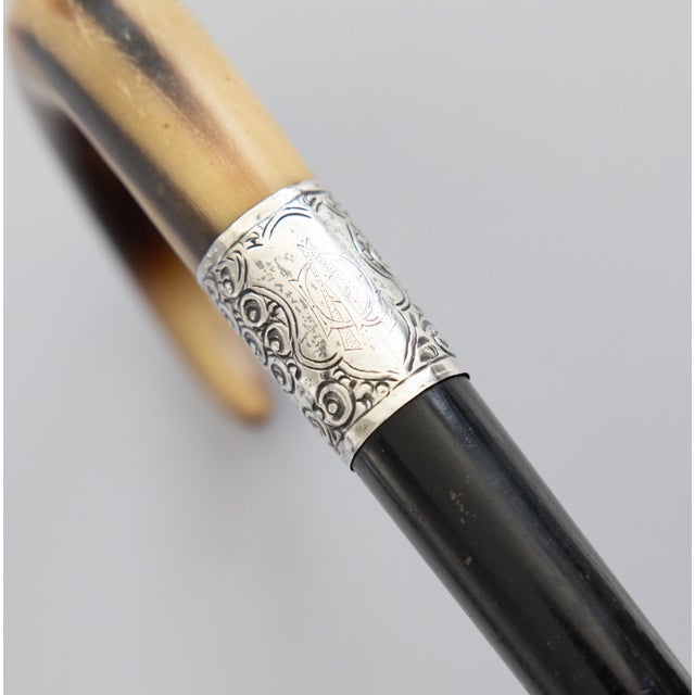 Early 20th Century Antique English Horn & Sterling Walking Stick For Sale - Image 5 of 7
