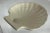 A vintage-inspired decoration for your powder, guest or master bath. Ivory in color, this clam shell soap holder can also...